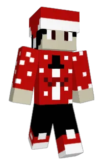 Front of Donkous's skin