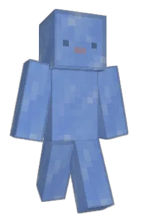 Front of Phagoti's skin