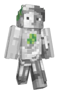 Front of Soikasec's skin