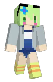 Skin preview