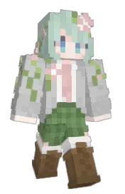 Skin preview