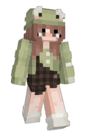 Skin preview