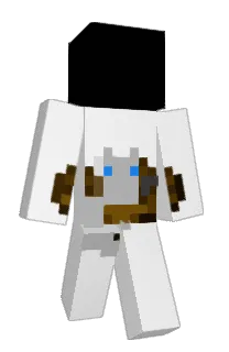 Front of PeakDisc2881's skin