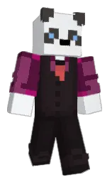 Minecraft skin — Classic model
