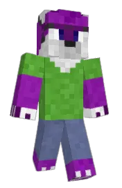 Skin preview
