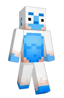 Front of colwip's skin