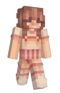 Front of Minecraft skin