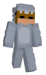 Minecraft skin — Classic model