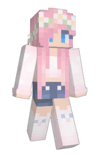 Front of Aaronasaurus_Rex's skin