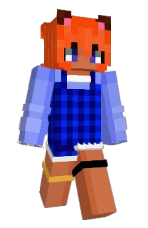 Front of Llamey's skin