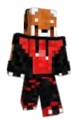 ShadowFEC