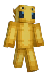 Front of Tejey's skin