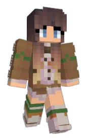Skin preview