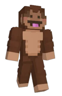 Front of blockboyant's skin