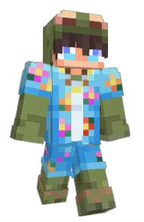 Front of acortess's skin