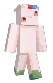 Skin preview