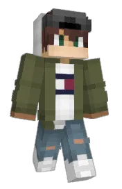 Skin preview