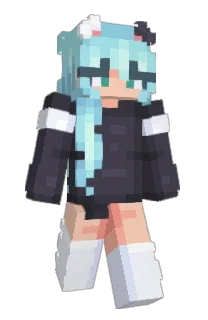 Front of Polaflex's skin