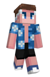 Front of BrailTeq's skin