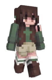 Skin preview