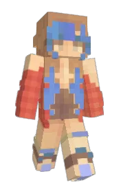 Skin preview