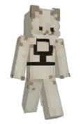 wiidog