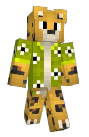 Skin preview
