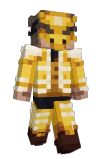 Front of FerreMC's skin