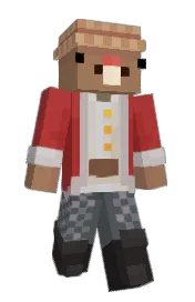 Skin preview