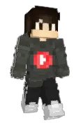 _tomer_