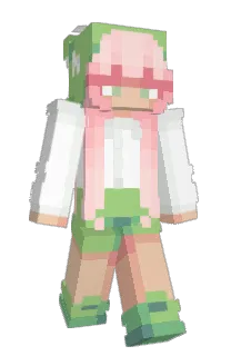 Front of yillit's skin