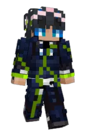 Skin preview