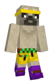 Skin preview