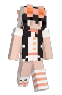 Front of PocketSage's skin