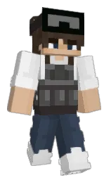 Minecraft skin — Classic model