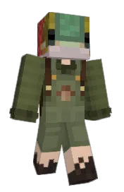 Skin preview