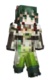 Skin preview