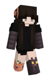 Front of L1306's skin