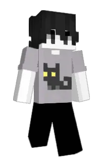 Front of Ninja's skin
