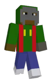 Skin preview