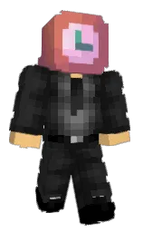 reimsas's Minecraft skin wearing the Migrator cape