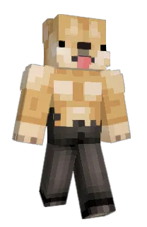 Front of Dr5ko's skin