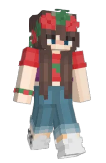 Front of Minecraft skin