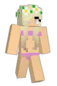 Acamerus