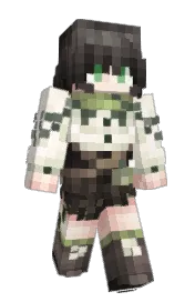 Skin preview