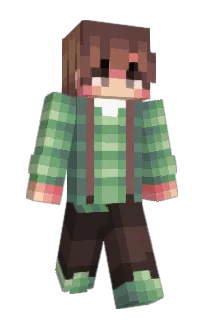 Front of Linkfingrer's skin