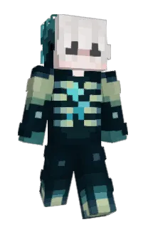 Front of Literka's skin