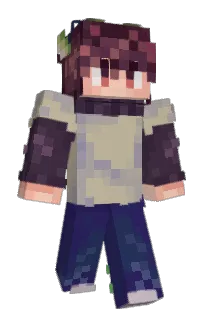 Front of V1nomial's skin