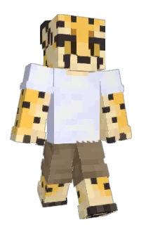 Front of benbenboyo's skin