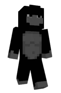 Front of rt2t's skin